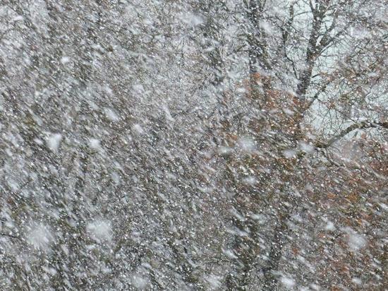 Сильный ветер и снег с дождём: на Омскую область надвигается непогода