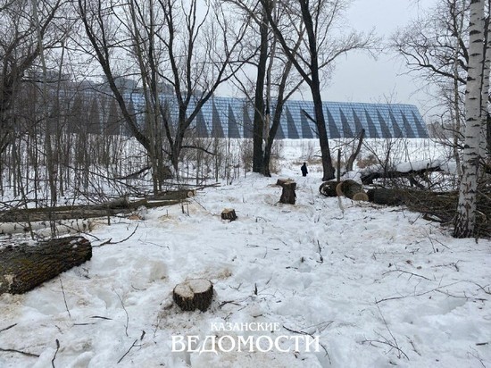 В Казани неизвестные вырубили деревья за ДВВС