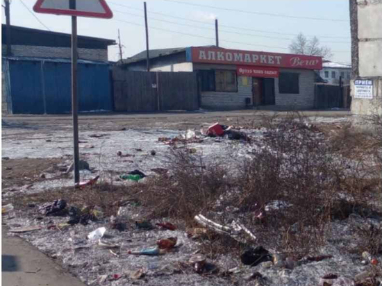 Власти Кызыла усиливают контроль за чистотой кафе и магазинов