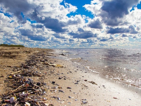 На 114 километрах береговых линий Карелии уберут мусор