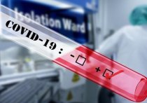 В России за минувшие сутки выявили свыше 26,8 тысячи новых случаев заболевания коронавирусом