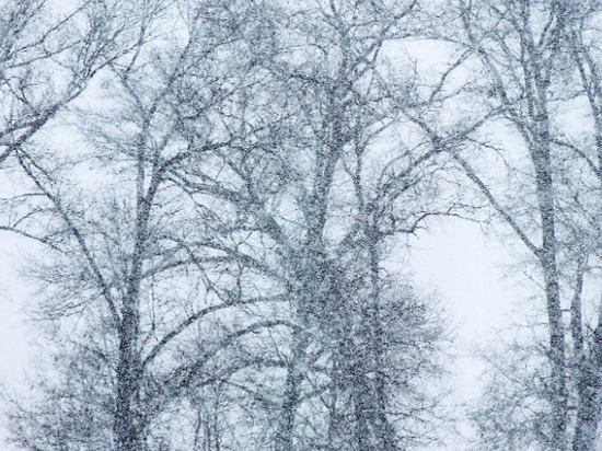 В Мурманске вечером 23 марта синоптики обещают сильный снег
