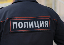В МВД Екатеринбурга с 1 апреля запретили полицейским использовать импортные автомобили