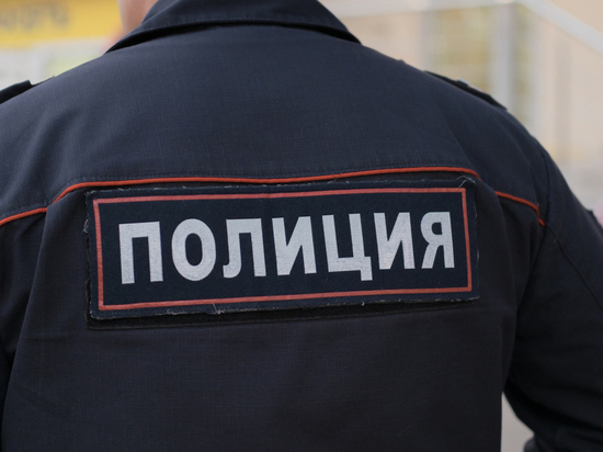 Полицейские в Екатеринбурге из-за санкций остались без служебных иномарок