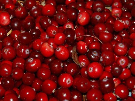 Что стоит добавить в меню