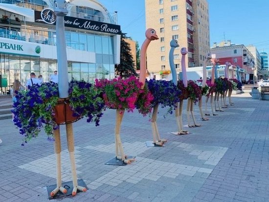 В Курске на улице Ленина к лету вместо страусов установят цветочные арки