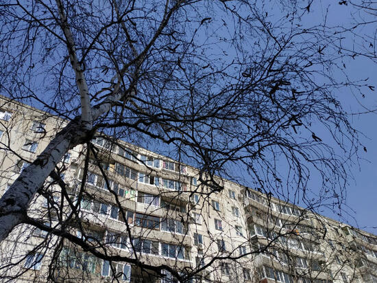 В целом рынок недвижимости пока вялый, но все же живой