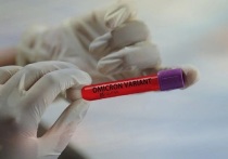 За последние сутки в Алтайском крае 401 человек получили положительный тест на коронавирус