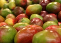 Поставки манго, голубики и винограда увеличат в российские регионы. Все ягоды и фрукты предлагают отправлять в Россию перуанские власти.