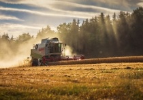 Правительство России временно ввело запрет на вывоз зерна, чтобы не допустить роста цен на внутреннем рынке