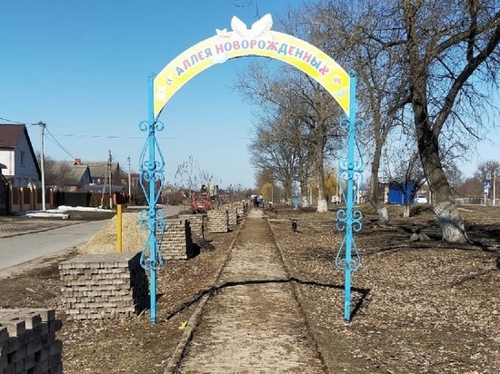 В Белгородской области за 13 млн рублей обустроят «Аллею новорожденных»