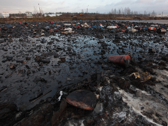 Восемь мусорных полигонов ликвидируют в Ленобласти до 2024 года