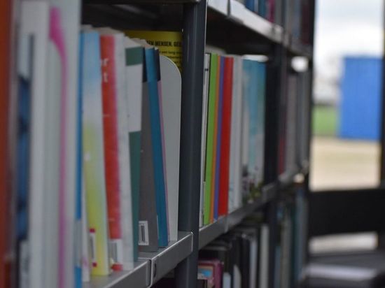 В Донбассе нашли детские книги в честь «Правого сектора»