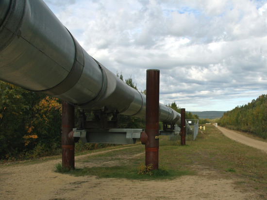 Подрядчик приступил к реконструкции газопровода в Балтийск