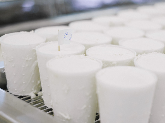 Строительство завода по переработке молока в Черняховске заморозили
