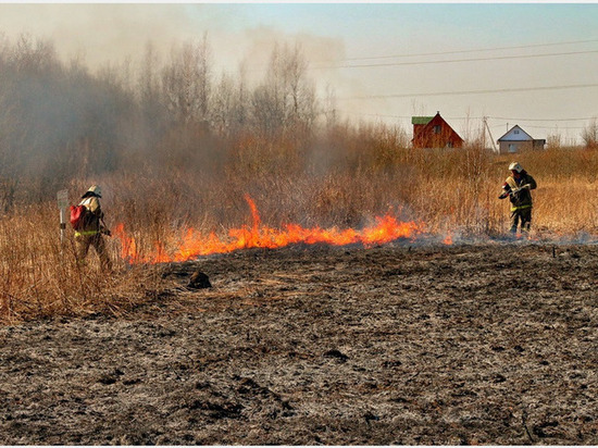 В администрации Смоленска предупредили об опасности пала сухой травы