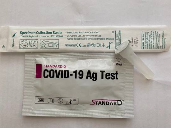 Учителей и школьников бесплатно проверят на COVID-19 после каникул в Ленобласти