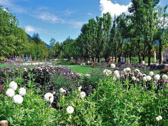 В Омске началась подготовка к летней выставке «Флора»