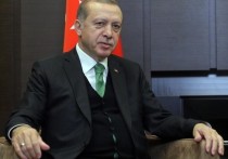 Турецкий лидер Тайип Эрдоган сообщил, что планирует в ближайшее время обсудить с президентом РФ Владимиром Путиным по телефону итоги саммита стран Североатлантического договора в Брюсселе.