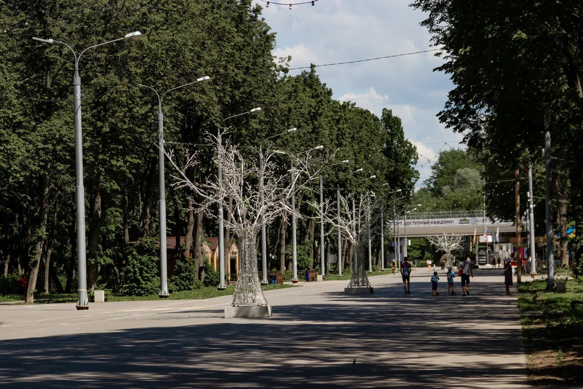 Лесопарк рязань. Пристань в лесопарке Рязань. Лесопарк Рязань летом. Стенд в лесопарке Рязань. Лесопарк Рязань железка.