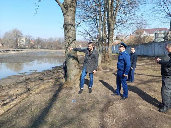 Прокуратура проверит информацию о гибели рыбы в Черняховском Замковом пруде