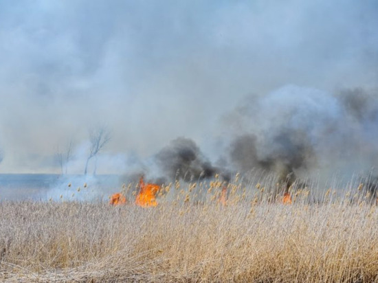 На севере Волгограда загорелась сухая трава