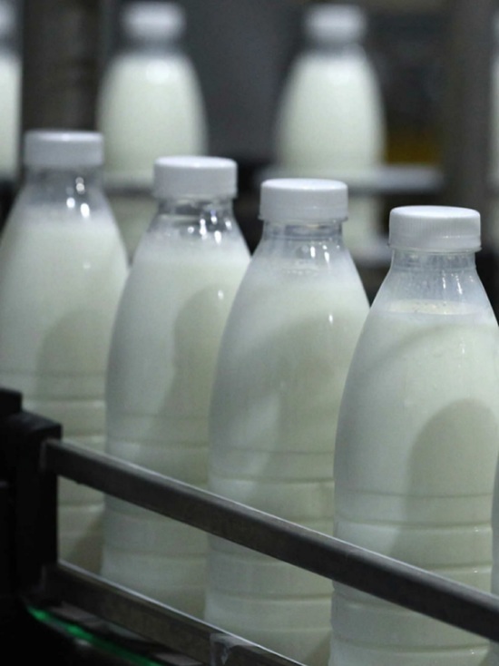 Костромской бюджет выделит 80 млн.рублей на поддержку производителей молока