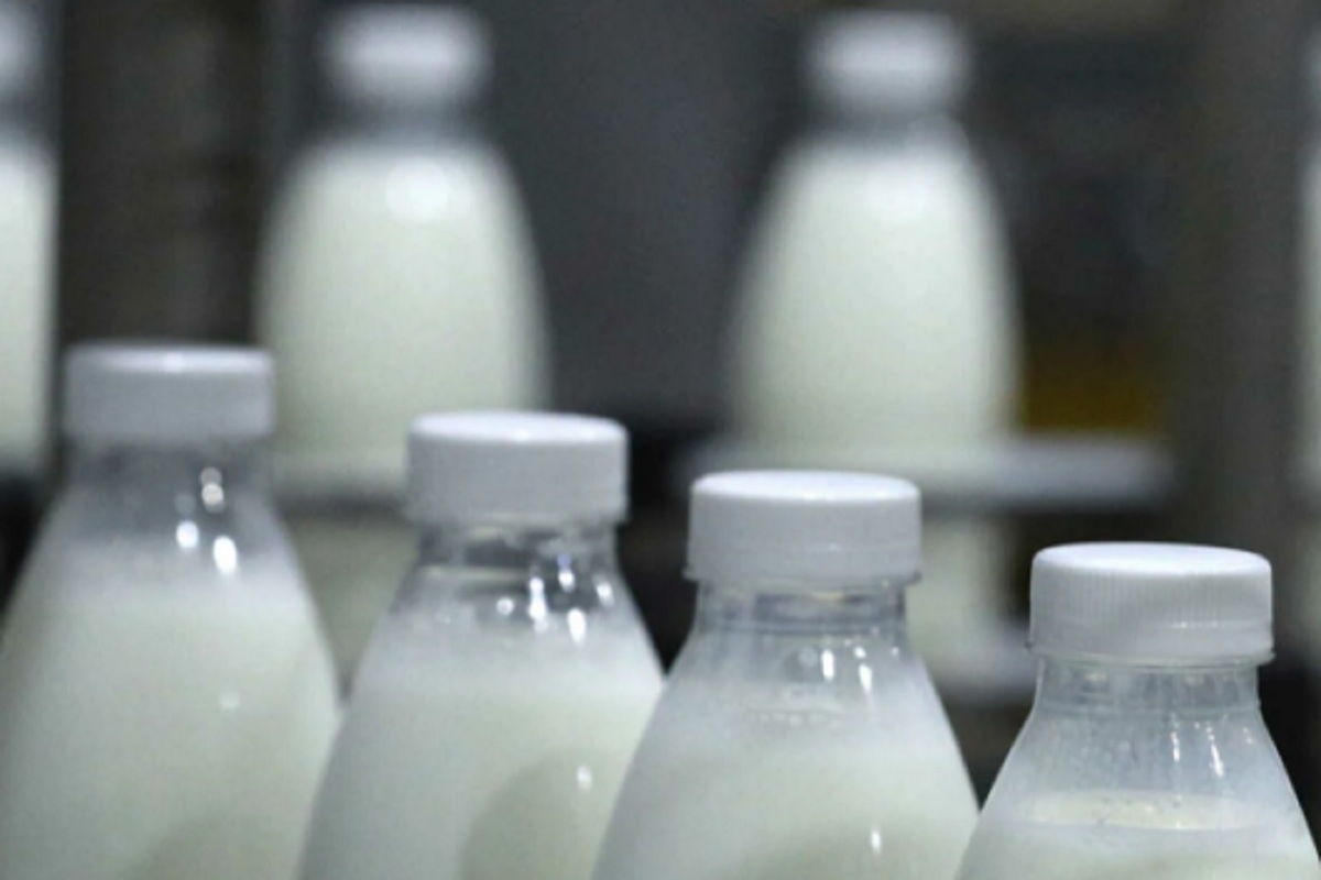 Костромской бюджет выделит 80 млн.рублей на поддержку производителей молока