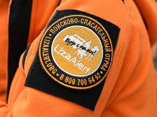 На Ямале пытаются возродить отделение поискового отряда «ЛизаАлерт»