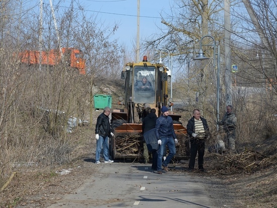 Из урочища Сосновка в Белгороде вывезли 154 кубометра валежника и мусора