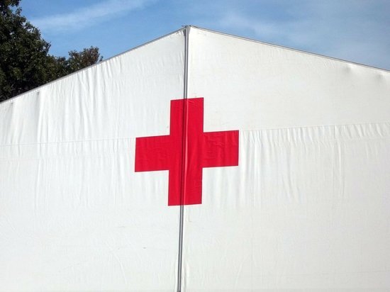 Делегация Российского Красного Креста посетила Белгородскую область