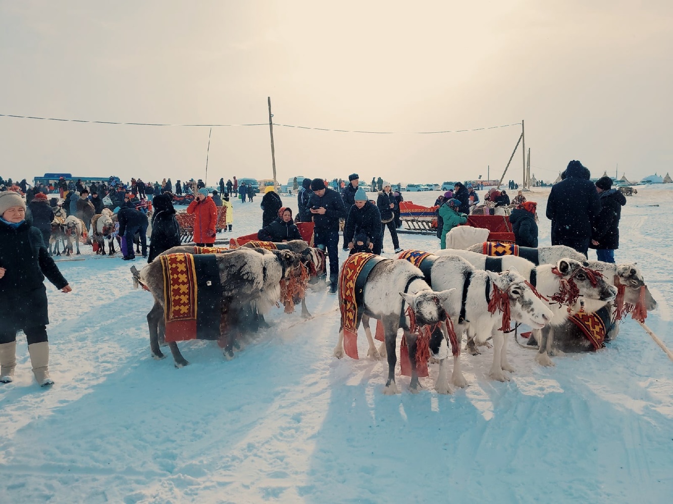 День оленевода празднуют в Салехарде: фото с масштабного праздника