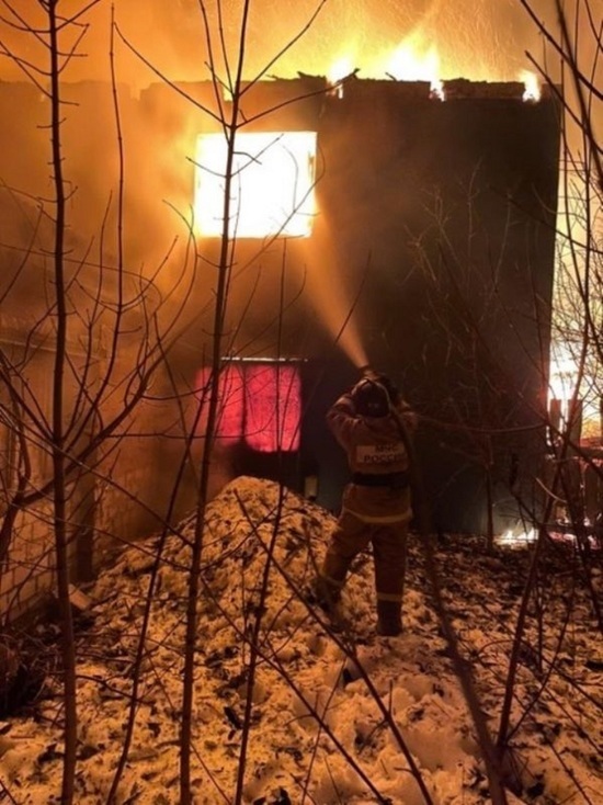 Во Владимирской области огонь уничтожил дом с магазином