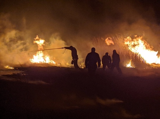 В субботу в Хакасии степные пожары выжгли более 60 км земли
