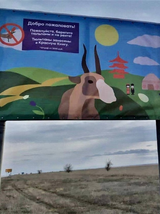 В Калмыкии туристов призывают к сохранению природы