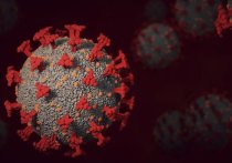 За прошлые сутки в Забайкалье выявлено 249 заболевших коронавирусом, вылечены от него 1 224 человека, подтверждено три летальных случая