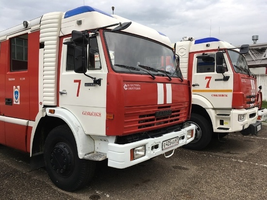 Смоляне жарили шашлыки: сгорела беседка и поврежден дачный дом