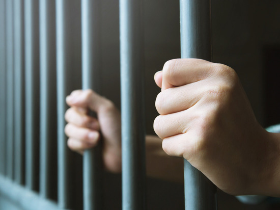 Полицейские задержали трех подозреваемых в краже в Ломоносовском районе