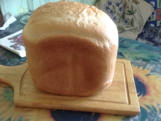 На Смоленщине найдут, чем заменить 4 процента импортных семян