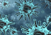 В Приморском крае ежедневно снижается число зараженных коронавирусной инфекцией. 