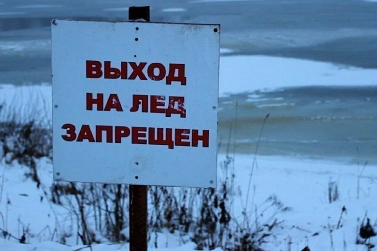 Первый провал: сотрудникам костромского МЧС пришлось вызволять двух жителя Буя из ледяной купели