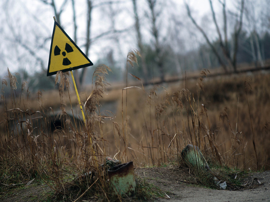 Роспотребнадзор заявил о пожарах в зоне Чернобыльской АЭС