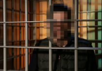 Телефонного террориста задержали сотрудники УФСБ по Москве и Московской области в подмосковной Коломне