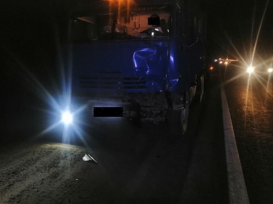 В Красноармейском районе Кубани КамАЗ сбил двух пешеходов