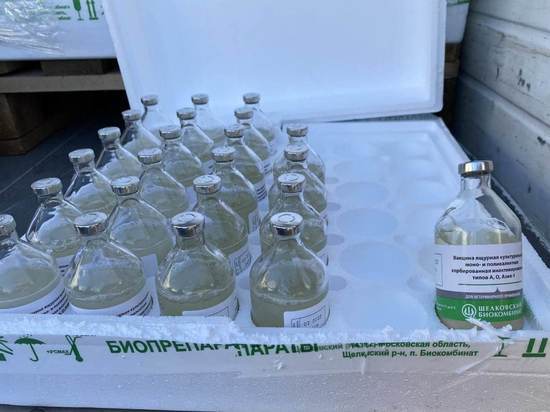 В Саратовскую область завезли 500 тысяч доз вакцины от бешенства хищников