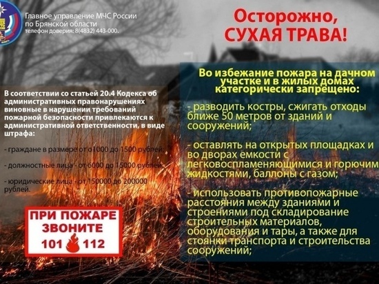 На Брянщине зафиксировали 30 фактов пала травы