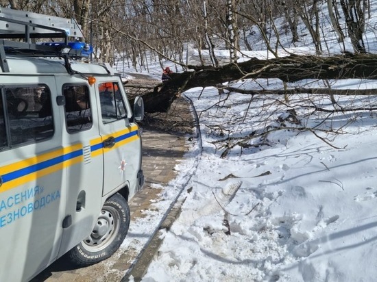 В Железноводске из-за ураганного ветра перекрыли Лермонтовский терренкур