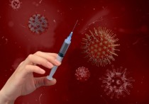 В России может начаться новая волна коронавируса, но только в случае «ввоза» высококонтагиозных штаммов из регионов западной части Тихого океана и Европы