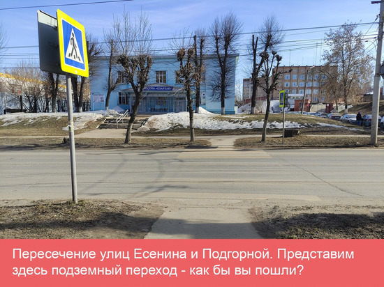 Урбанисты раскритиковали идею постройки 11 внеуличных переходов в Рязани
