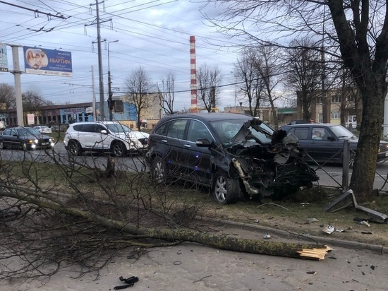 Калининградец врезался в дерево на Московском проспекте